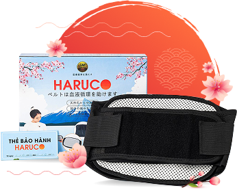 anh gt haruco
