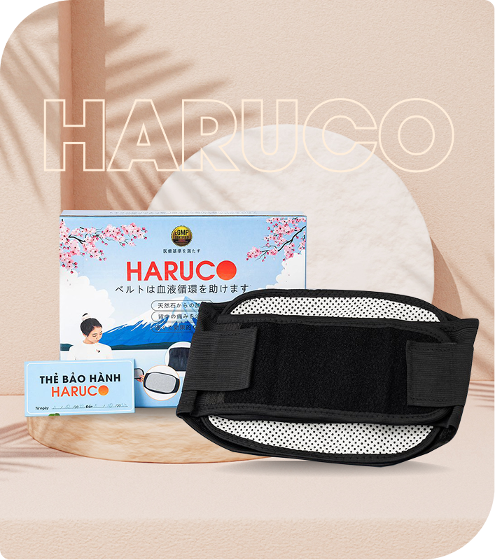 anh gt haruco