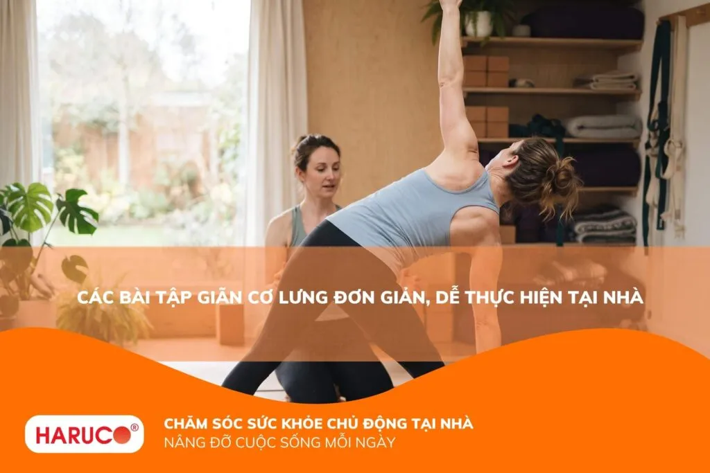 Các bài tập giãn cơ lưng đơn giản, dễ thực hiện tại nhà