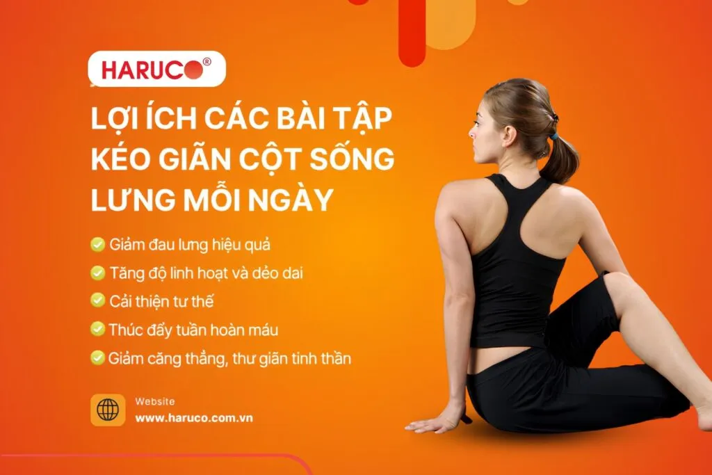Việc thực hiện các bài tập kéo giãn cột sống lưng đều đặn mang lại nhiều tác động tích cực cho sức khỏe