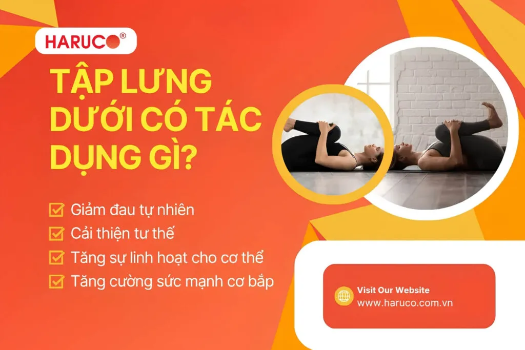 tập lưng dưới - 1