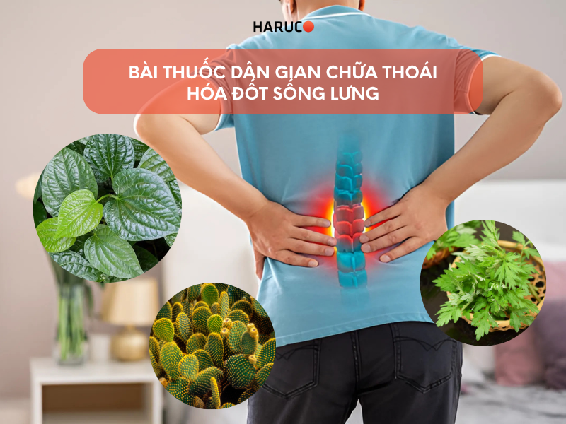 Bài thuốc dân gian chữa thoái hóa đốt sống lưng