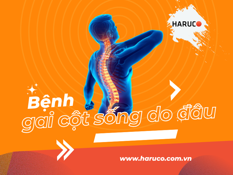 dai-lung-cot-song-haruco
