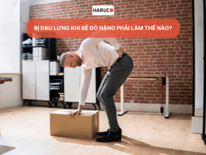 dai-lung-cot-song-haruco
