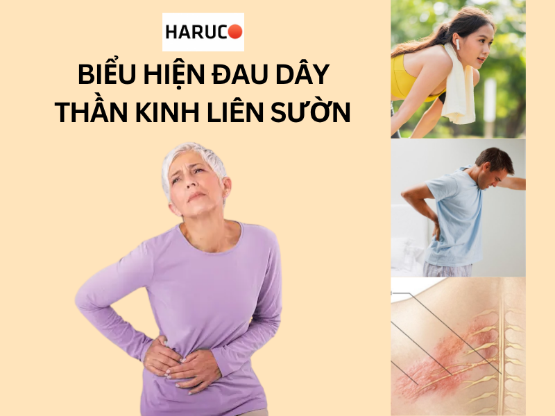 dai-lung-cot-song-haruco