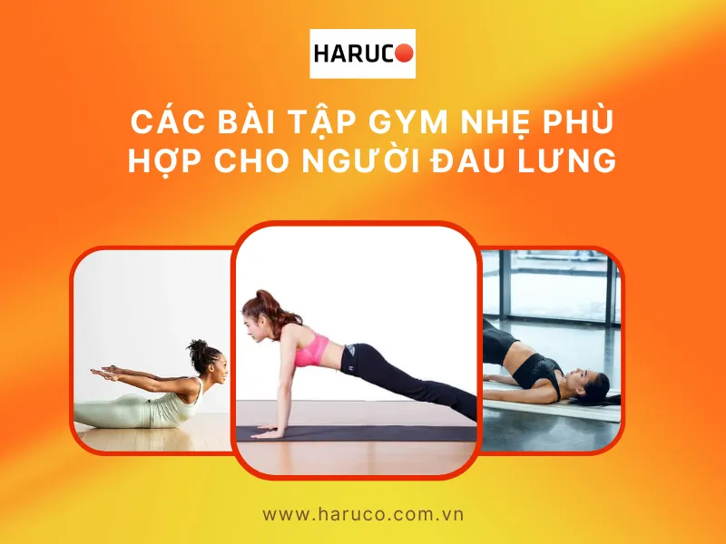 Đau lưng có nên tập gym không