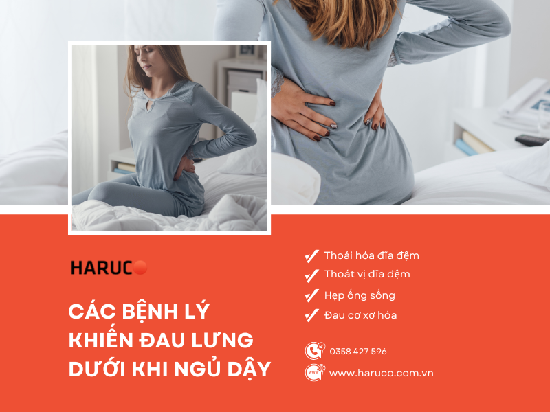 dai-lung-cot-song-haruco