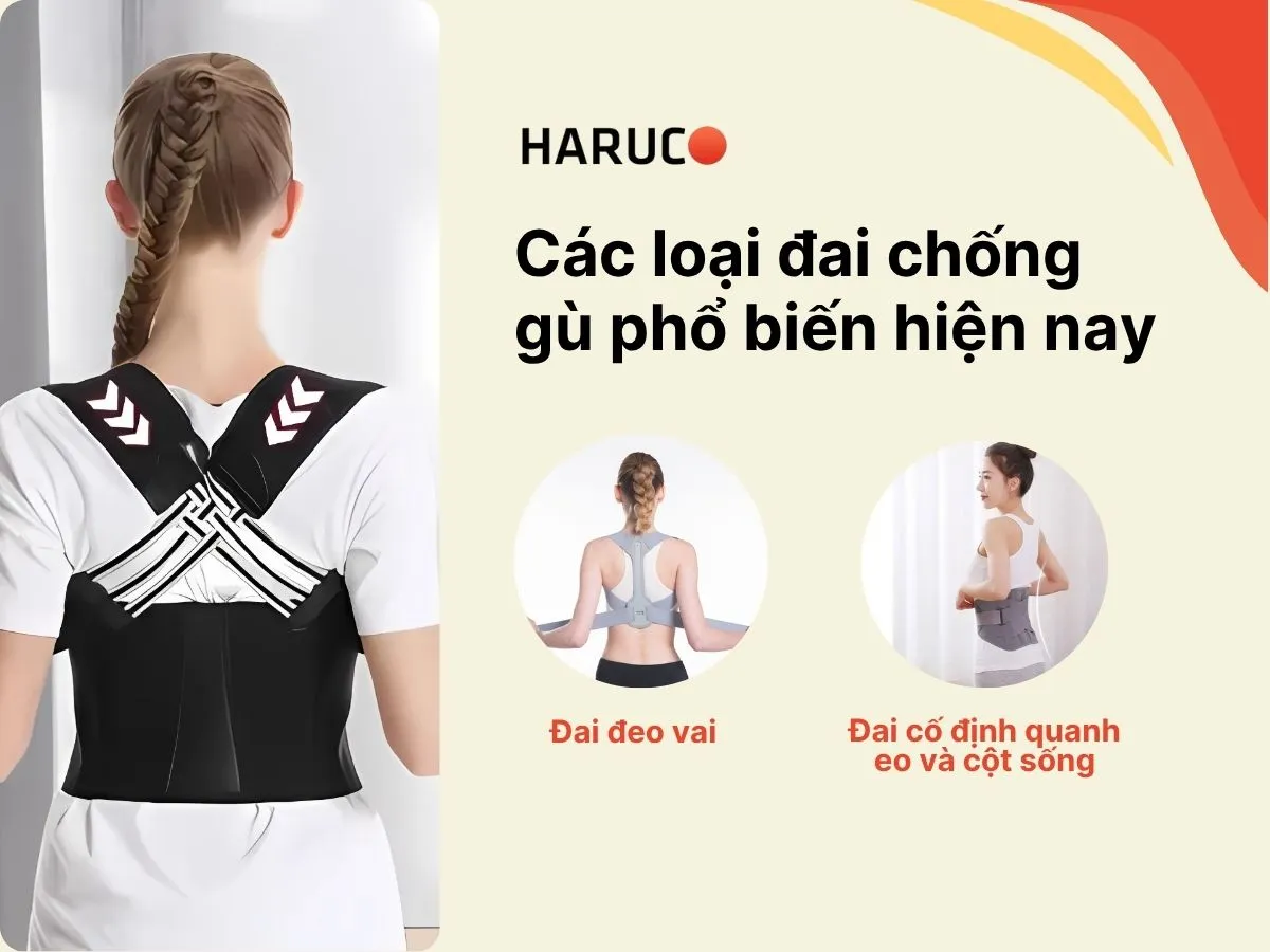 dai-lung-chong-gu-haruco