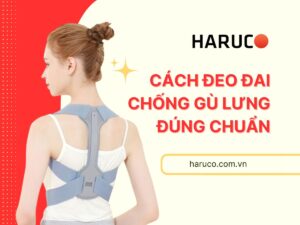 dai-lung-chong-gu-haruco
