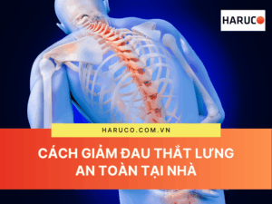 dai-lung-cot-song-haruco