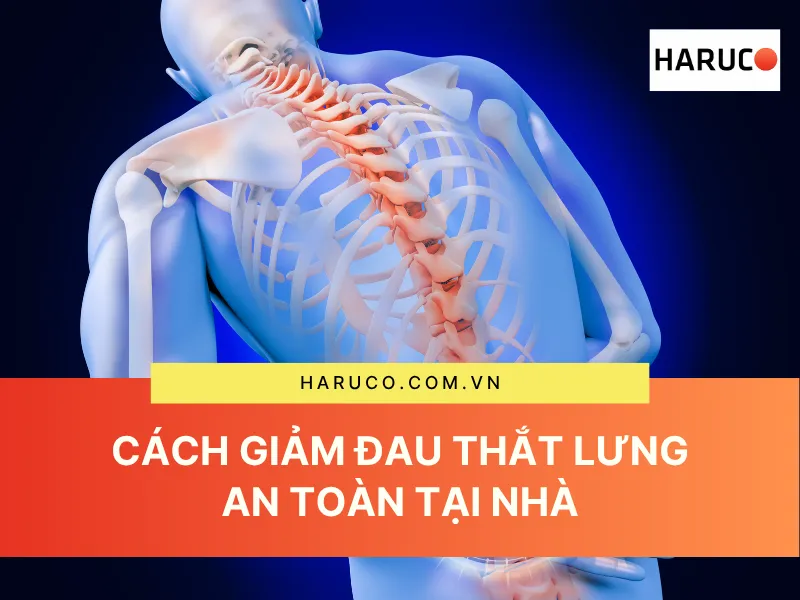 dai-lung-cot-song-haruco