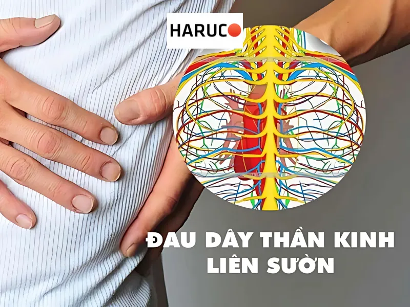 dai-lung-cot-song-haruco