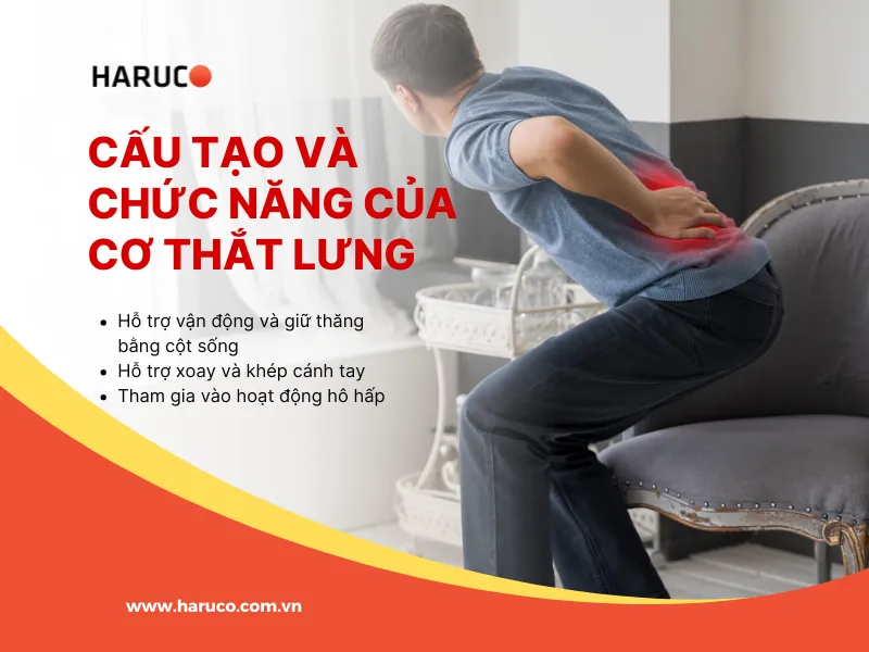 dai-lung-cot-song-haruco