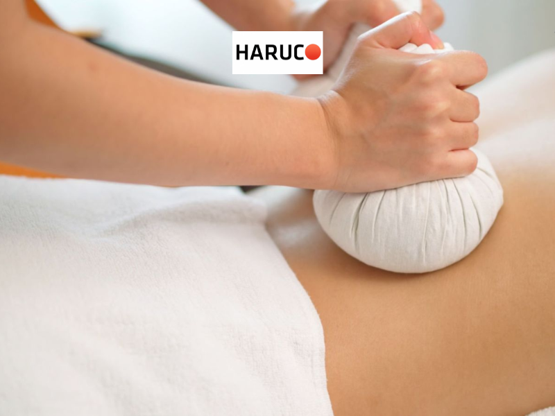 dai-lung-cot-song-haruco