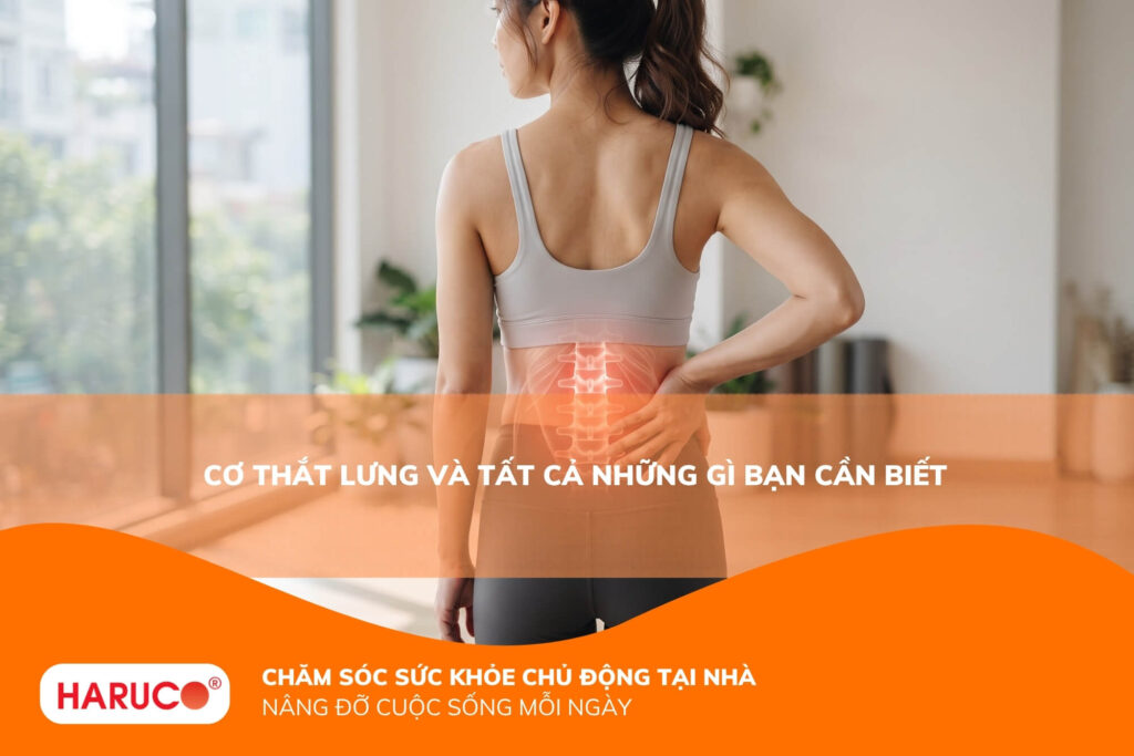 Cơ thắt lưng và tất cả những gì bạn cần biết