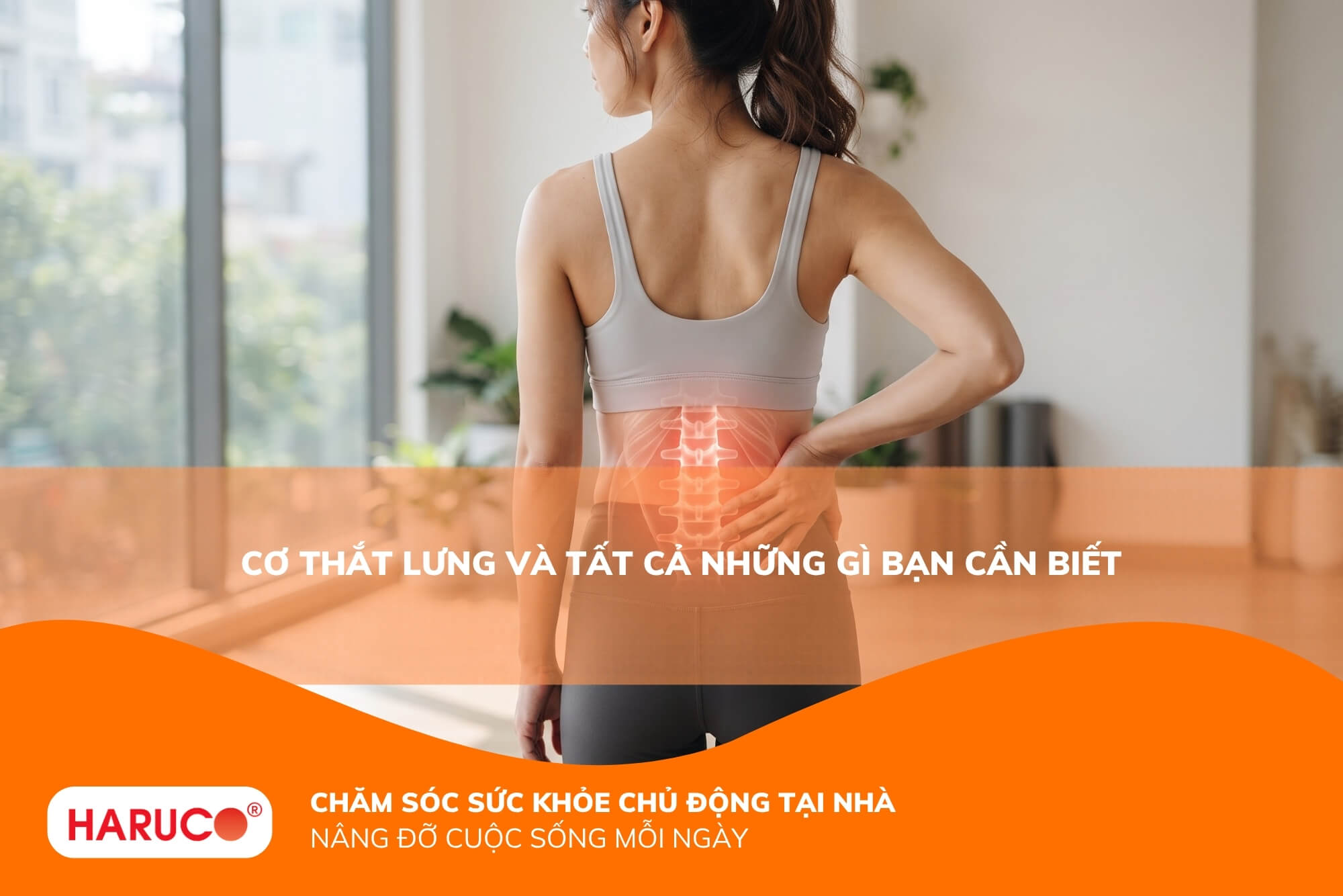 Cơ thắt lưng và tất cả những gì bạn cần biết
