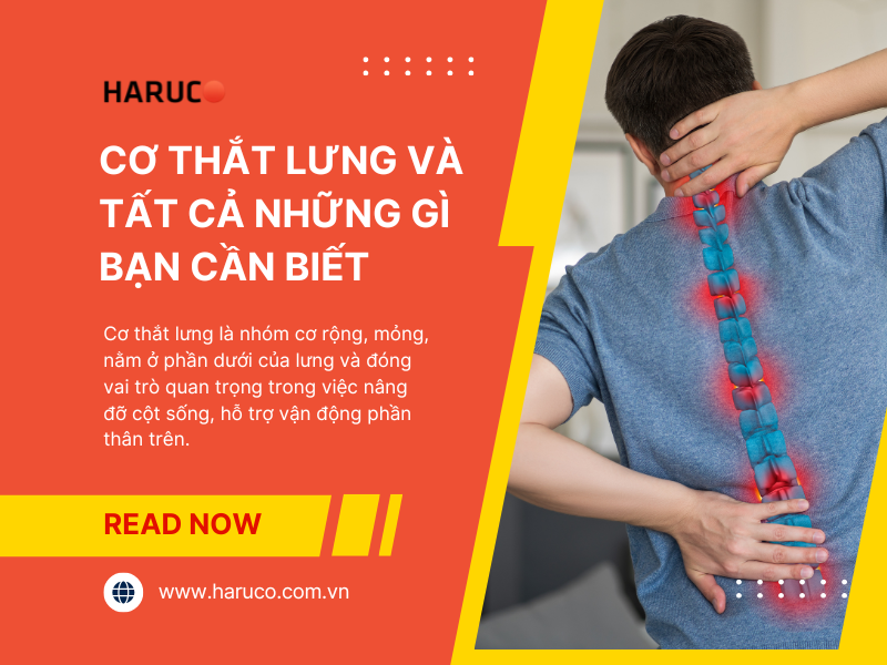 dai-lung-cot-song-haruco