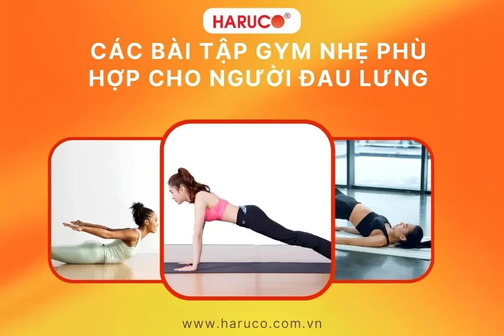 Đau lưng có nên tập gym không