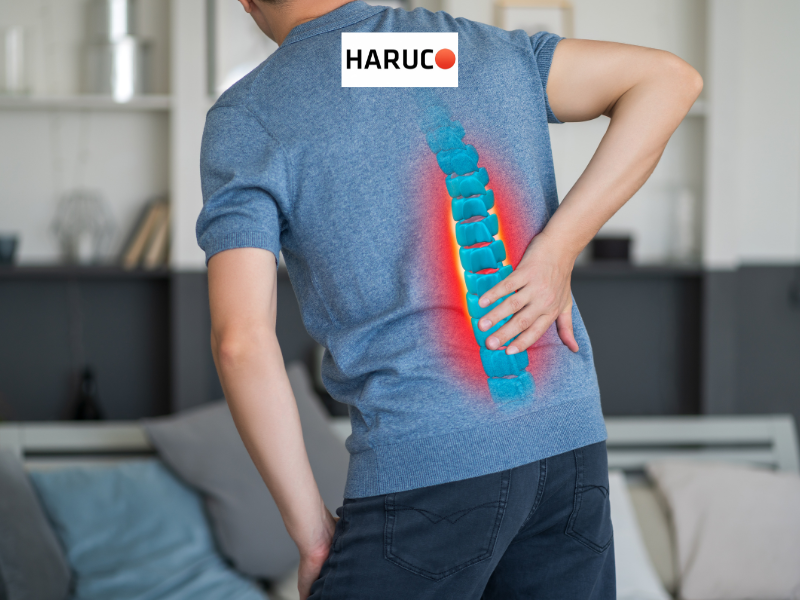 dai-lung-cot-song-haruco