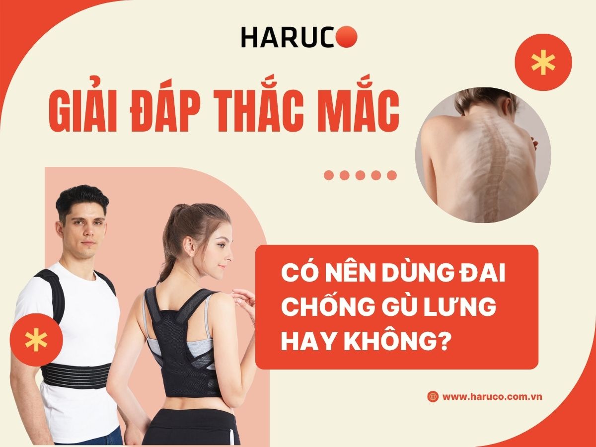 dai-lung-chong-gu-haruco