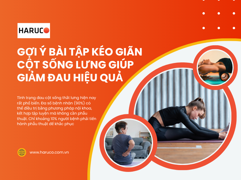 Gợi ý bài tập kéo giãn cột sống lưng giúp giảm đau hiệu quả