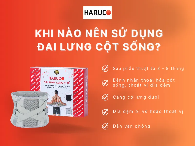 dai-lung-chong-gu-haruco