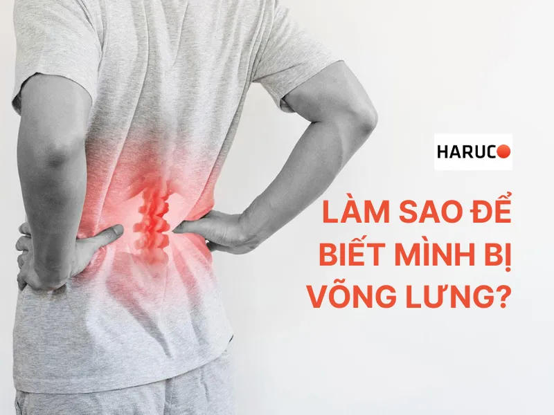 Võng lưng - 2 
