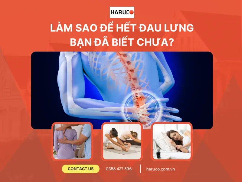 dai-lung-cot-song-haruco