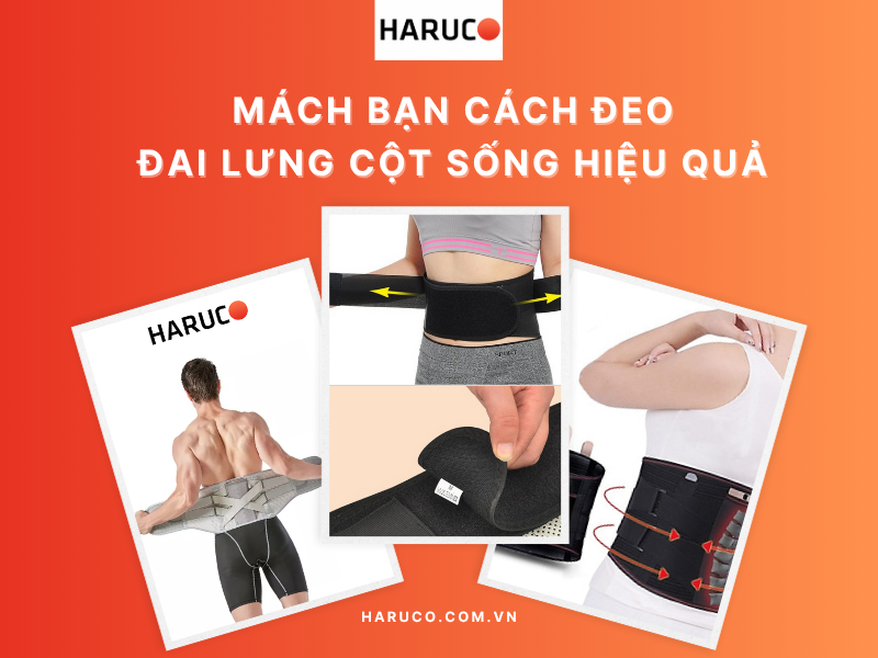 dai-lung-chong-gu-haruco