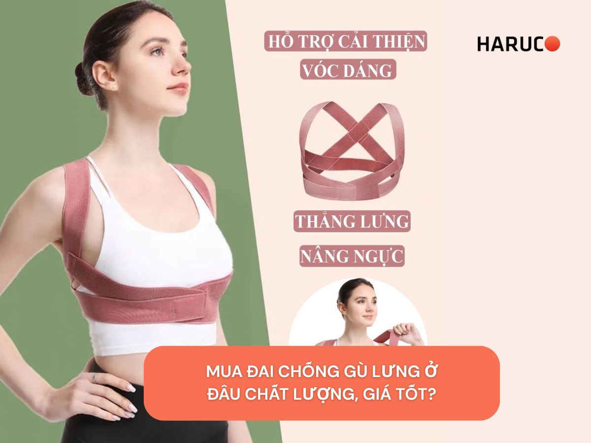 dai-lung-chong-gu-haruco
