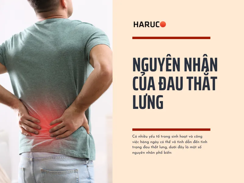 dai-lung-cot-song-haruco
