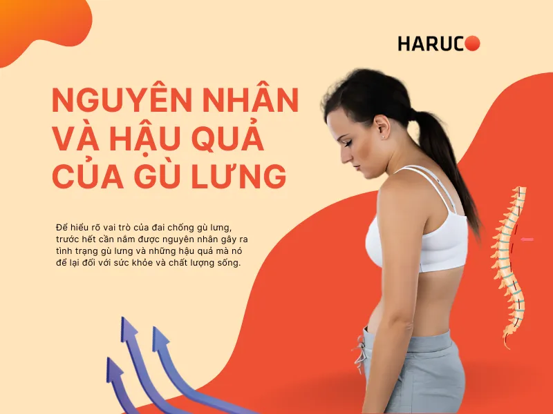 dai-lung-chong-gu-haruco