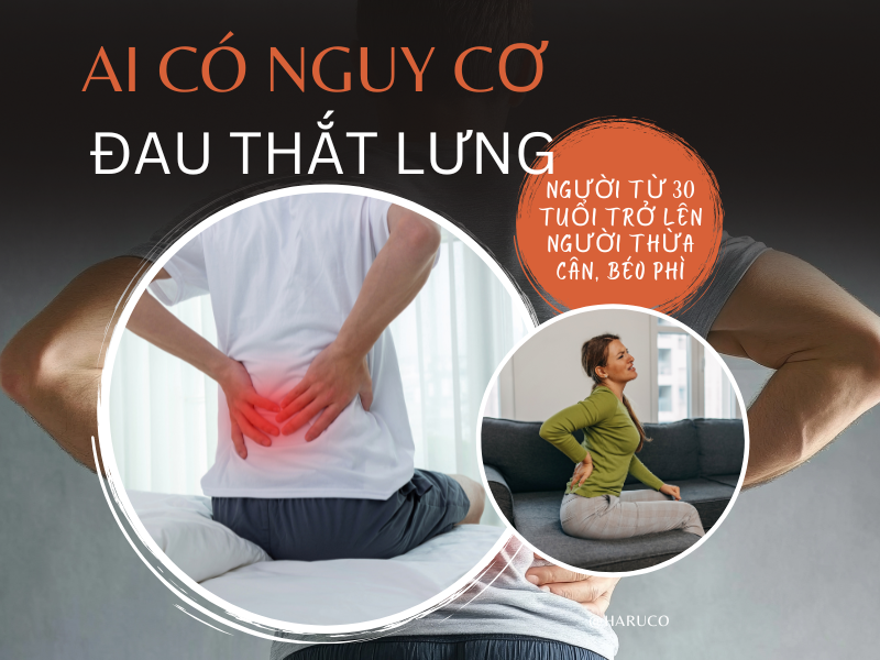 dai-lung-cot-song-haruco