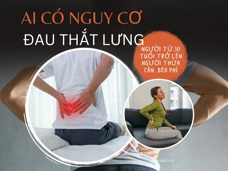 dai-lung-cot-song-haruco