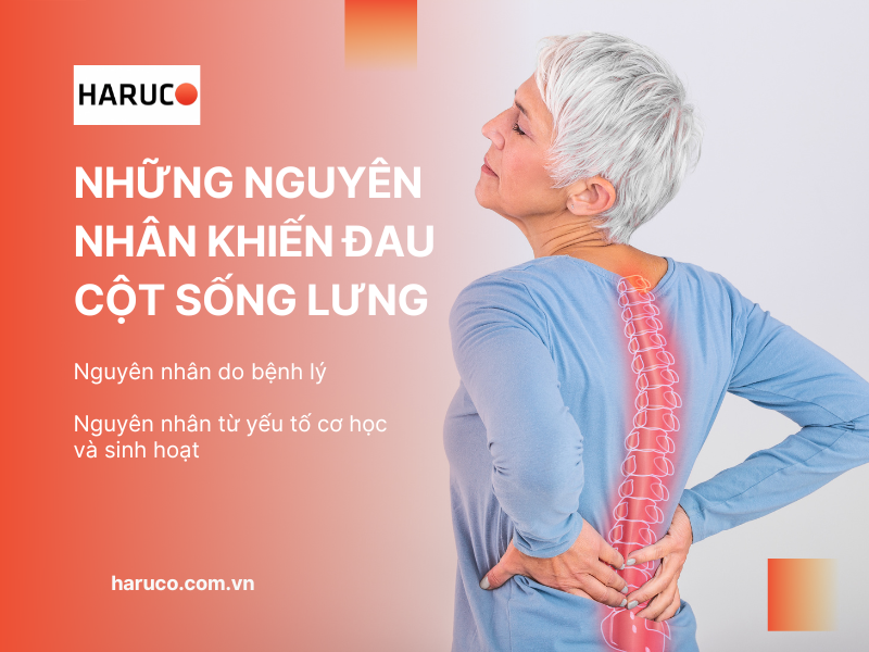 dai-lung-cot-song-haruco