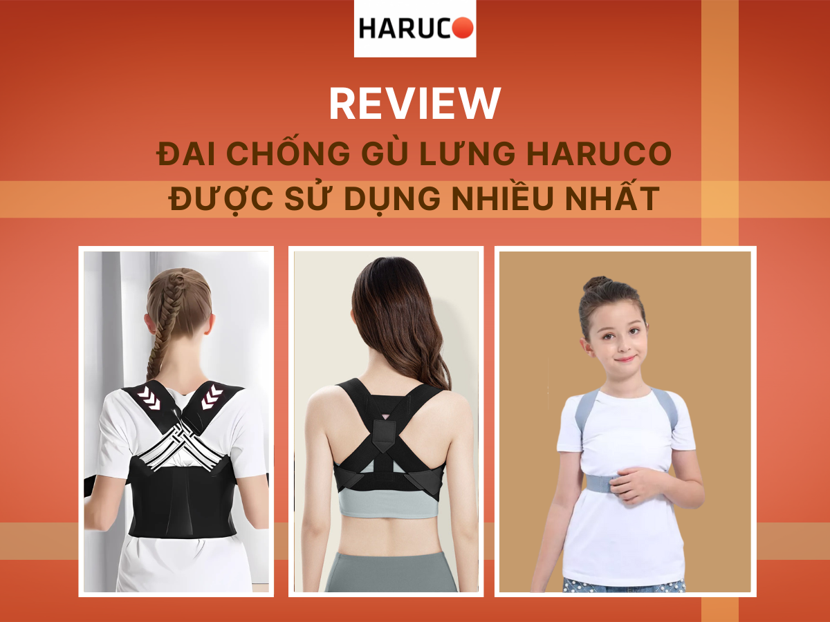 dai-lung-chong-gu-haruco