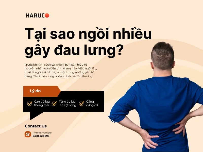 đau lưng do ngồi nhiều - 2