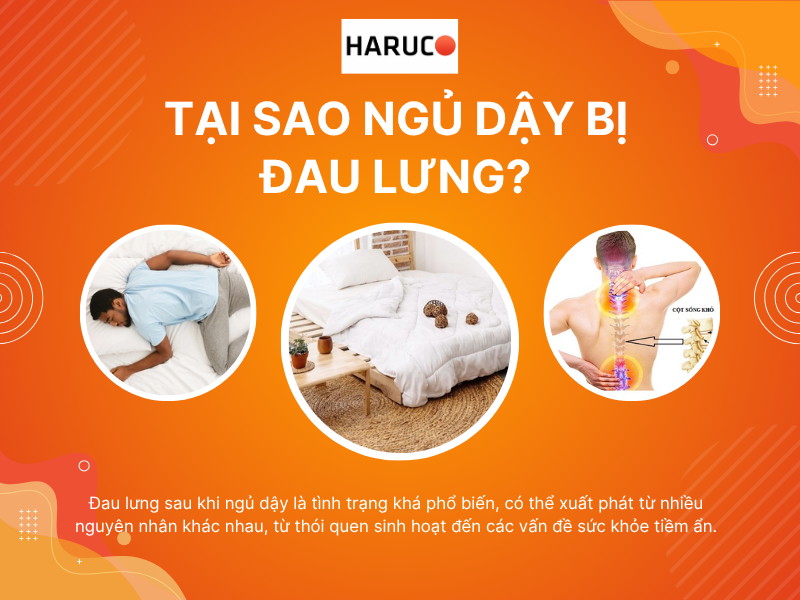 dai-lung-cot-song-haruco