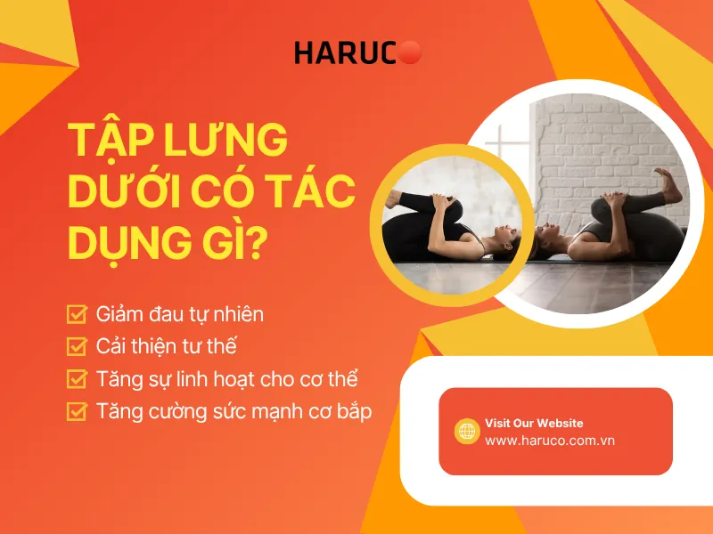 tập lưng dưới - 1
