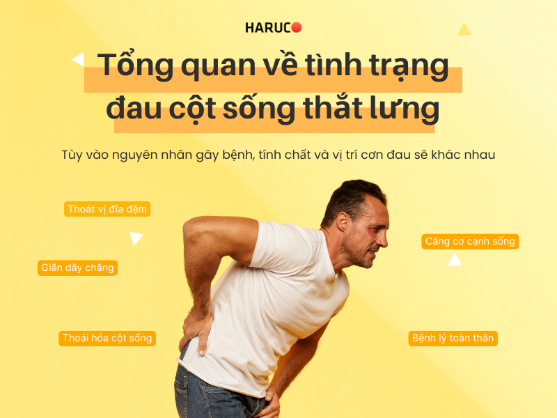 dai-lung-cot-song-haruco