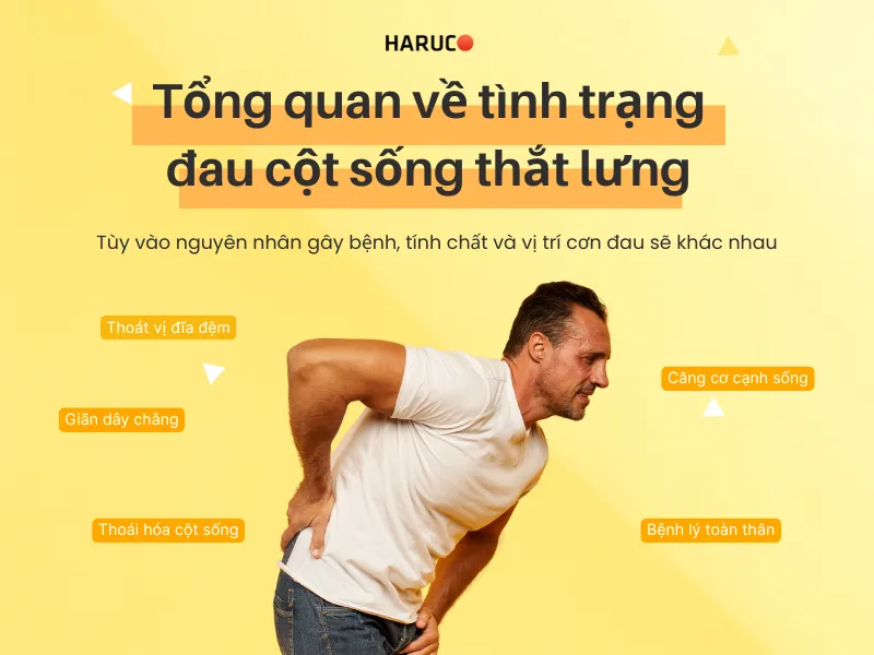 dai-lung-cot-song-haruco
