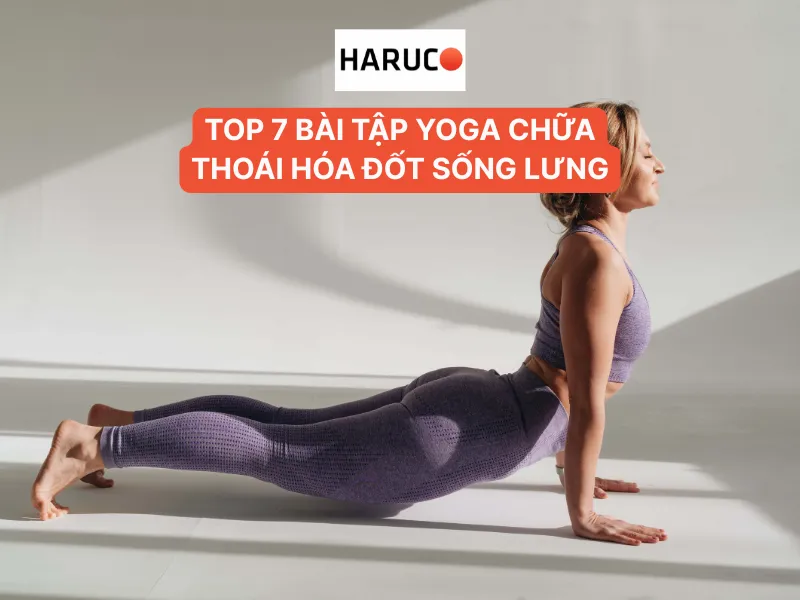 dai-lung-cot-song-haruco