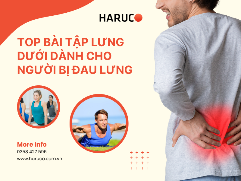 Top bài tập lưng dưới dành cho người bị đau lưng