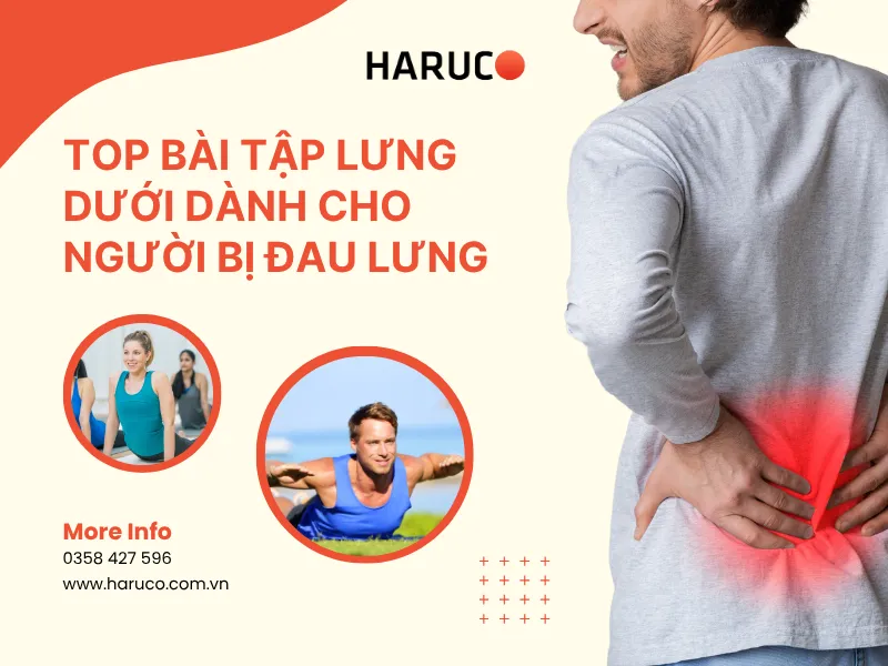 tập lưng dưới - 1