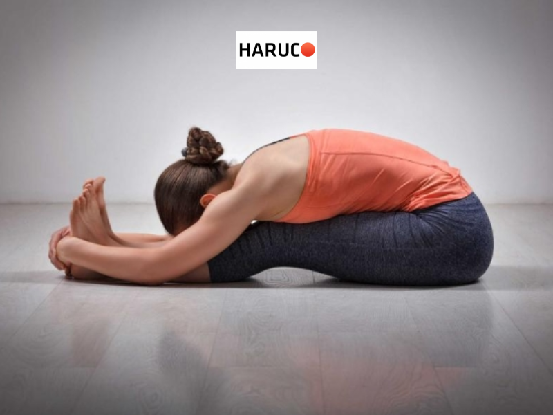 dai-lung-cot-song-haruco