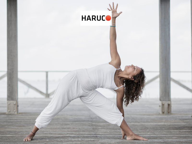 dai-lung-cot-song-haruco
