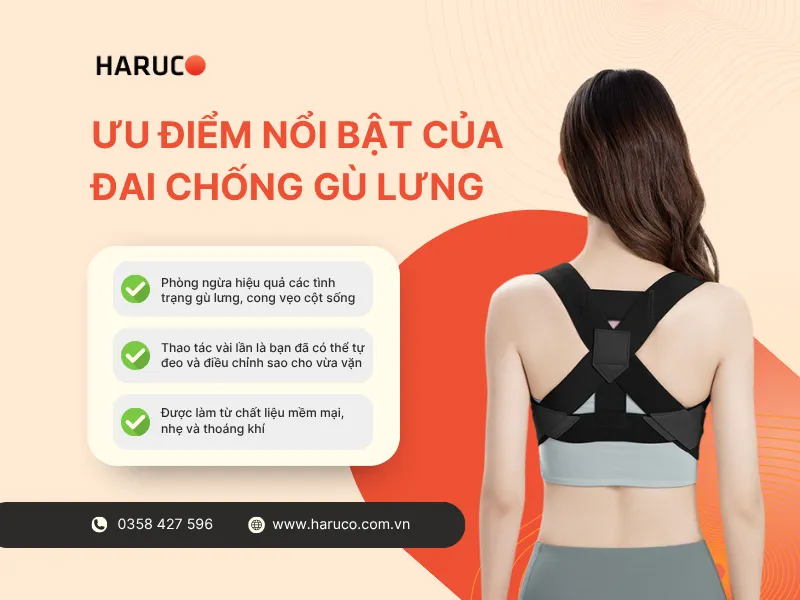 dai-lung-chong-gu-haruco