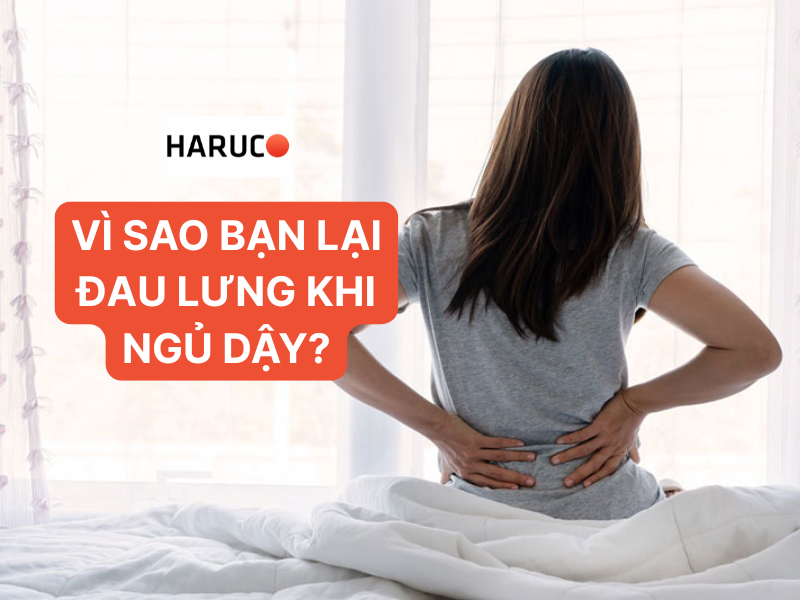 dai-lung-cot-song-haruco