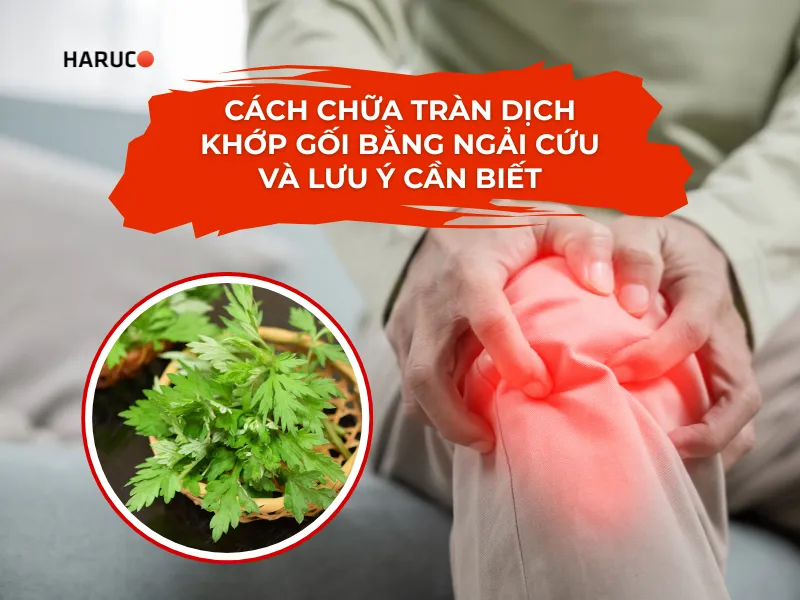 chữa tràn dịch khớp gối bằng ngải cứu