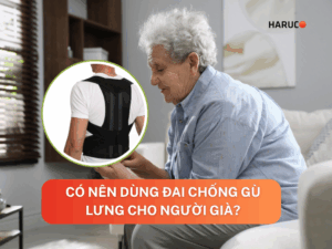 dai-lung-chong-gu-haruco